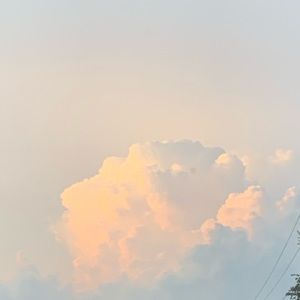 Meet your Posher, Sydney